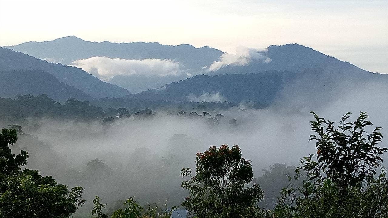 Mulu Village Δωμάτιο φωτογραφία